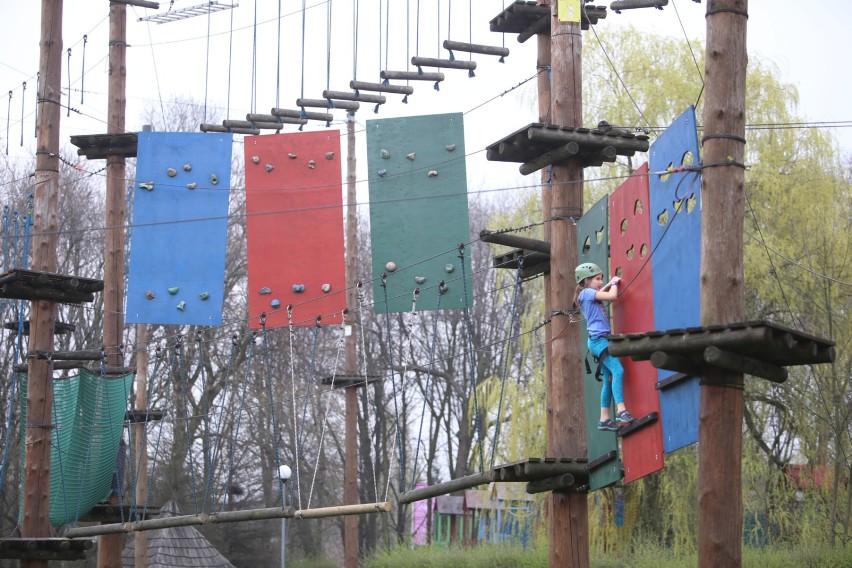 Parki linowe, Warszawa. W lesie przy Wawrze mogą powstać "małpie gaje"