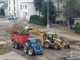 I co z tą zieloną konstytucją Torunia? Program jest, ale jego skutków jakoś nie widać