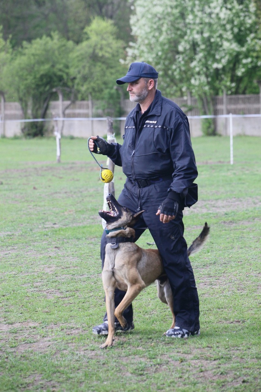 Funkcjonariusze łódzkiego Animal Patrolu przeszli szkolenie,...