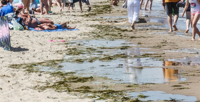 Sinice w Bałtyku. Sinice odpuszczają, gdzie w Gdyni można się już kąpać w morzu? Lista zamkniętych kąpielisk