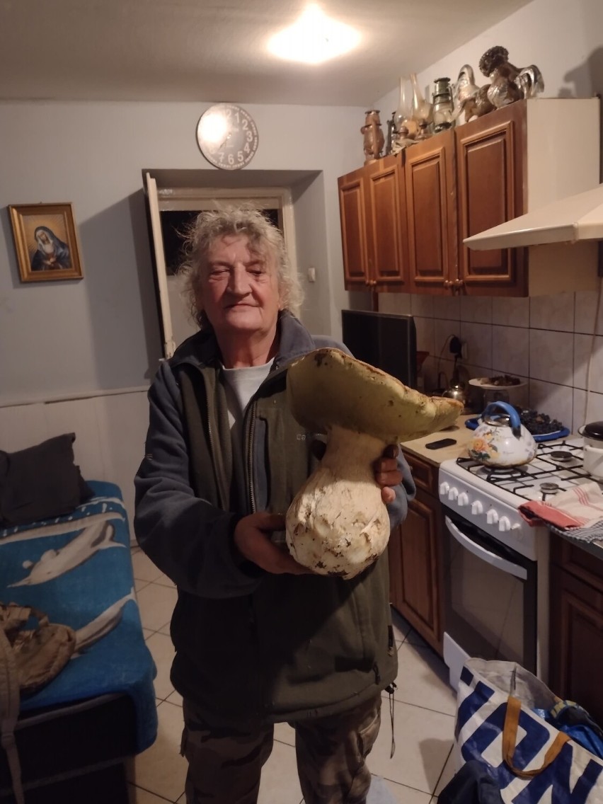 Pani Zdzisława z Przemyśla znalazła ważącego 1,35 kg prawdziwka [ZDJĘCIA]