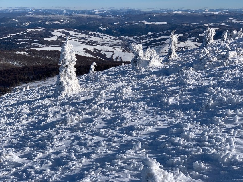 Na wysokości 1150 m n.p.m., ponad górną granicą lasu, mijamy...