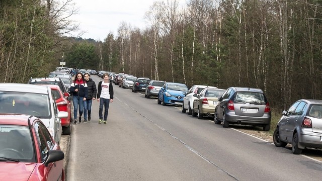 Obecnie przez Klucze przejeżdża 7 tysięcy pojazdów dziennie, co stanowi duże obciążenie dla mieszkańców tego niewielskiej miejscowości. W piękne weekendy ludzie jazdą nad Pustynię Błędowską