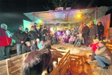 Szopka z żywymi zwierzętami stanęła tradycyjnie przy przedszkolu w Potrzanowie 