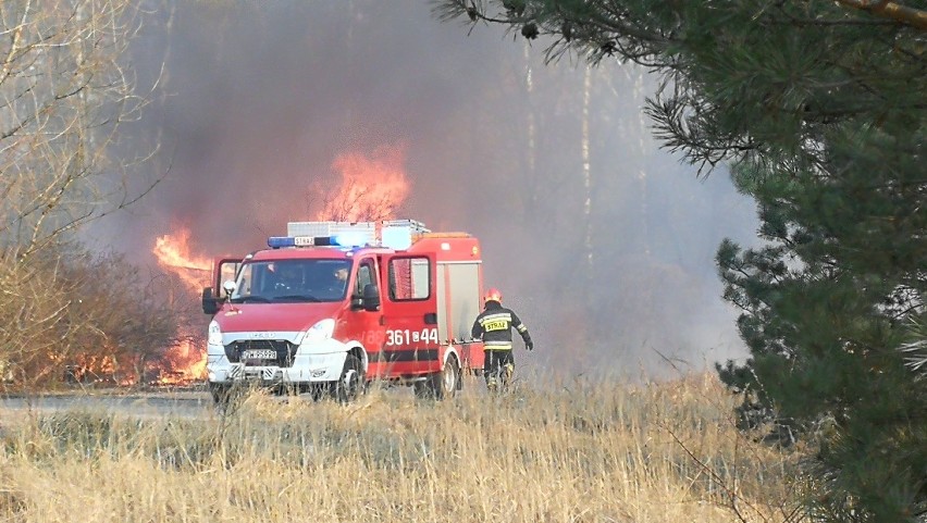 Plaga pożarów we Włocławku i powiecie włocławskim [zdjęcia, wideo]