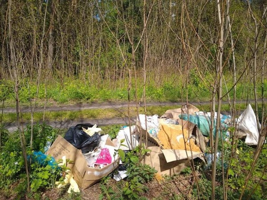 Śmieci wyrzucone w lesie w Żarnowicy. Sprawca znaleziony i...