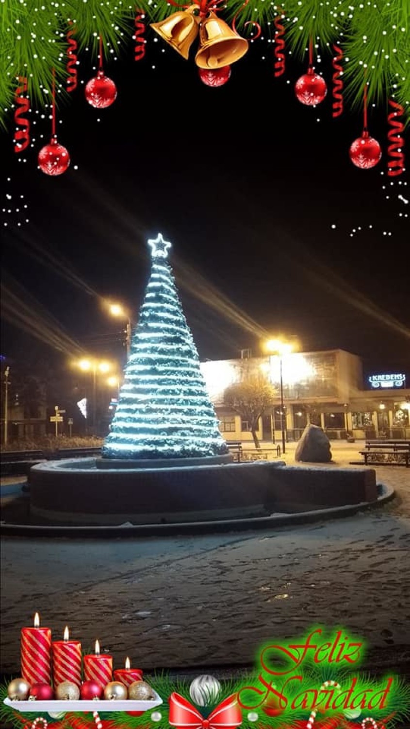 Bajeczna choinka w Jastrzębiej Górze (Boże Narodzenie 2018)