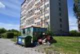 Miasto Kielce wyznaczyło dwie lokalizacje, gdzie mogą powstać niskoczynszowe mieszkania w ramach powstające spółki SIM KZN Świętokrzyskie
