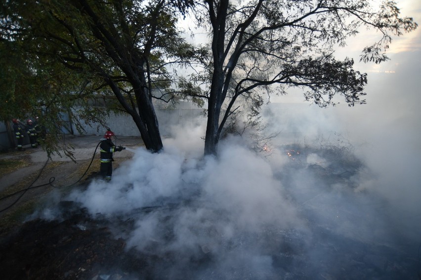 Pożar nieużytków w Sosnowcu Zagórzu