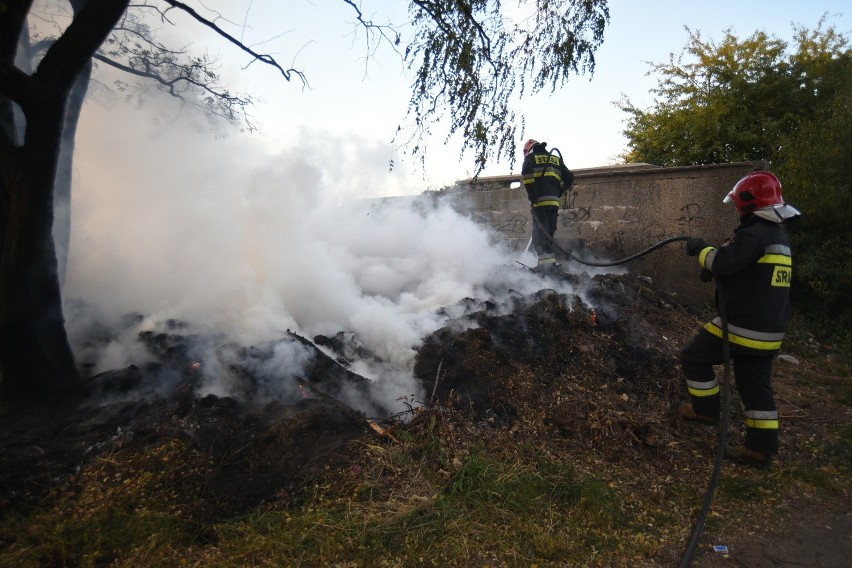 Pożar nieużytków w Sosnowcu Zagórzu