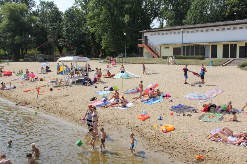 Półkolonie w Legnicy. Jakie atrakcje przygotowały dla dzieci szkoły podstawowe? Sprawdź!