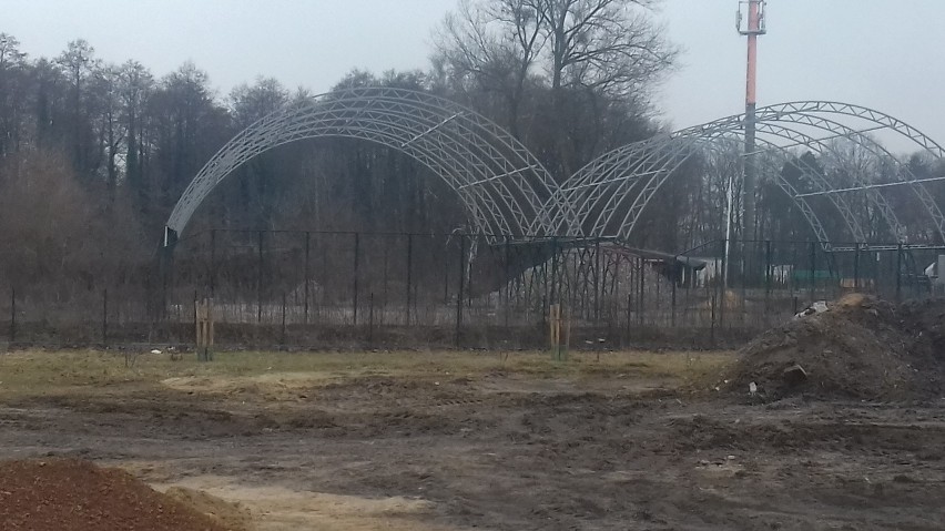 Coraz więcej balonów na Stawach Jana w pobliżu ChKS. Efekt sukcesów Igi Świątek. Zdjęcia