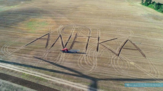 Rolnik spod Gorzowa w nietypowy sposób wyznał miłość swojej żonie.