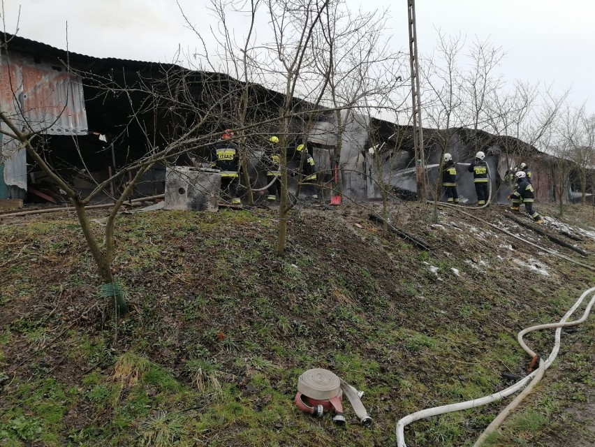 Duży pożar pod Tarnowem. Płonęła hala produkcyjna zakładu obróbki drewna w Ołpinach. Z ogniem walczyło kilkudziesięciu strażaków [ZDJĘCIA] 