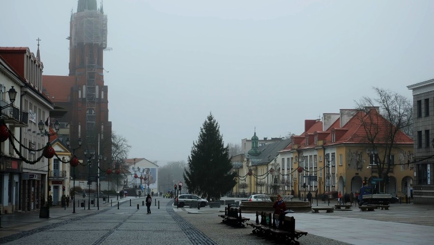 Pierwsza choinka miejska już stoi