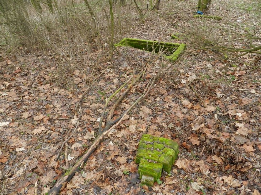 Smak Czasów Minionych - stary cmentarz ewangelicki 