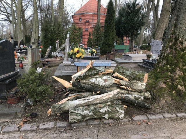 Podczas niedawnych wichur wiatr powalił na słupskim cmentarzu wiele drzew.
