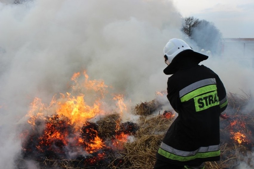 Pożar pod Fromborkiem. Na polu paliły się baloty słomy