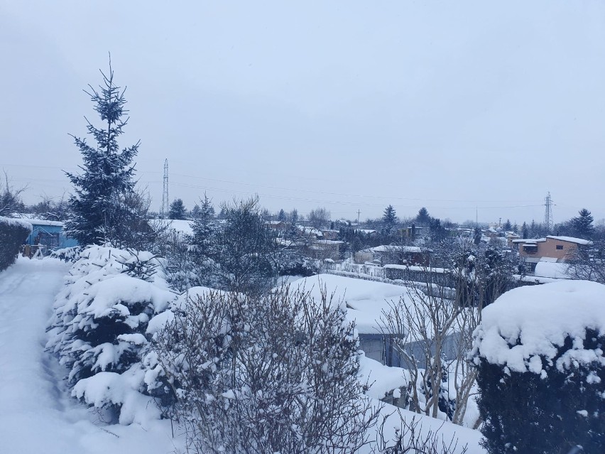 Zimowe zdjęcia z ogródków działkowych w Hermanowie 