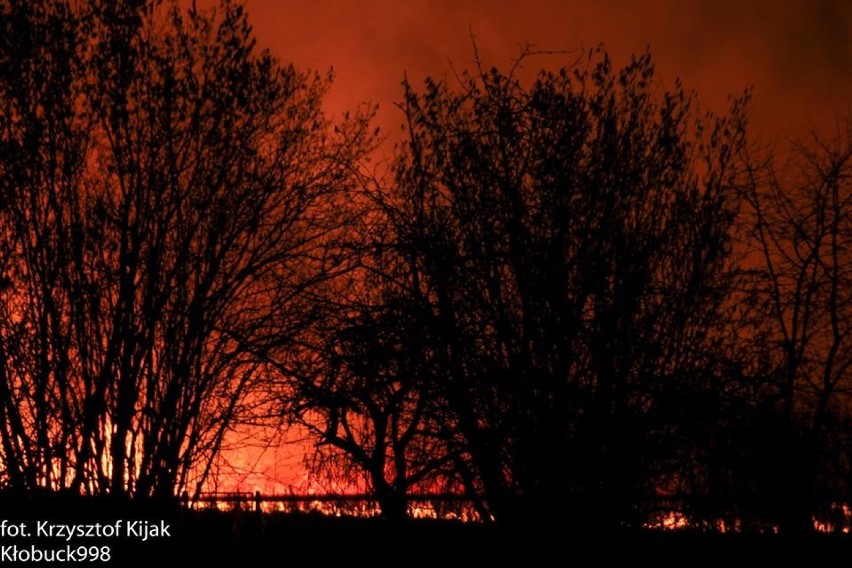 Pożar traw w Łobodnie