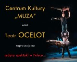 Teatr Ocelot wystąpi w Lubinie