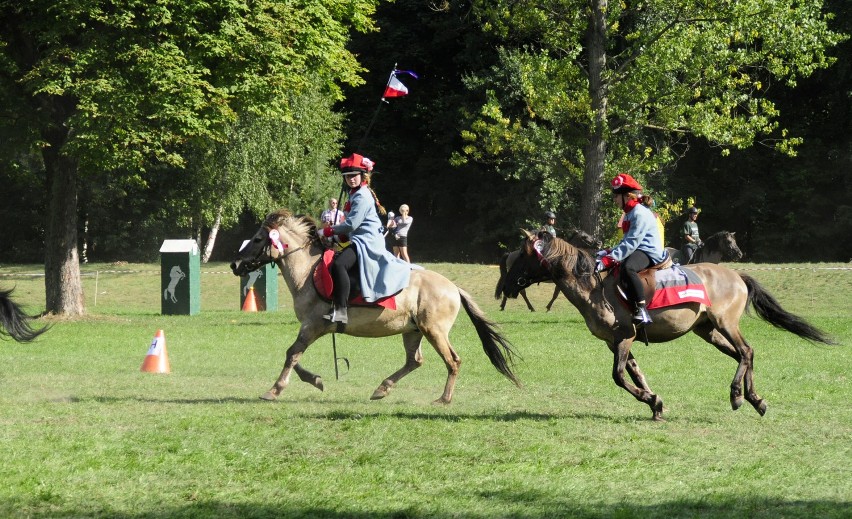 Sieraków - Tarpaniada 2013