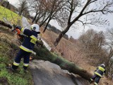 Żnin i okolice. Wichura dała nam się we znaki. Strażacy z powiatu żnińskiego interweniowali 40 razy! 