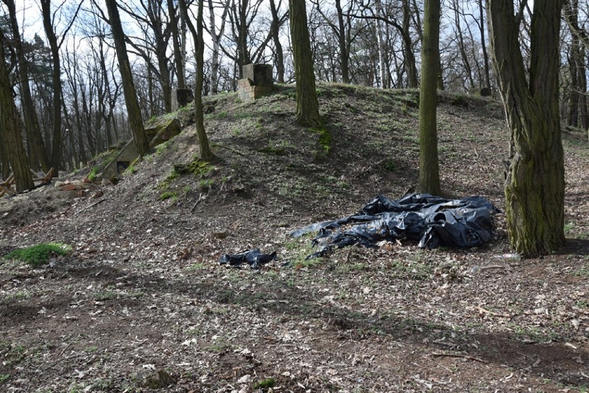 4 miliony na park Leśny już wydane. Podoba Wam się to co...