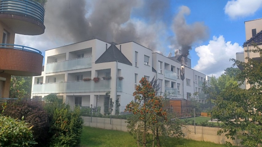 Pożar we Wrocławiu! Pali się dach budynku na ul. Objazdowej 6. Na miejscu jest 9 zastępów straży pożarnej [ZDJĘCIA]