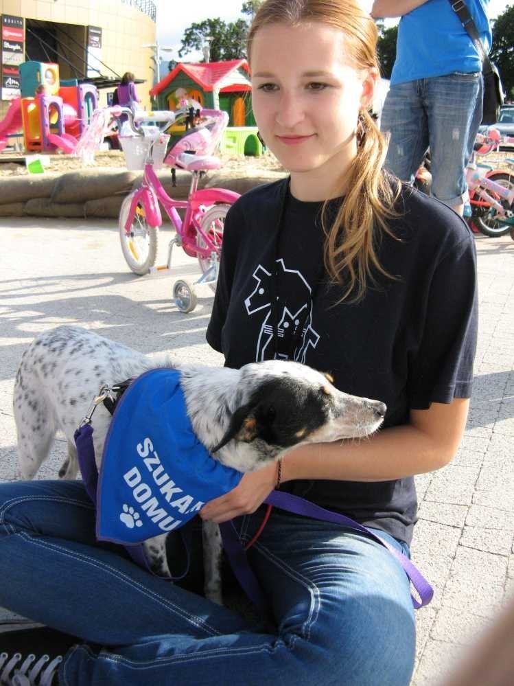Bielsko-Biała: Fundacja Zmieńmy Los zachęcała bielszczan do adopcji zwierząt.