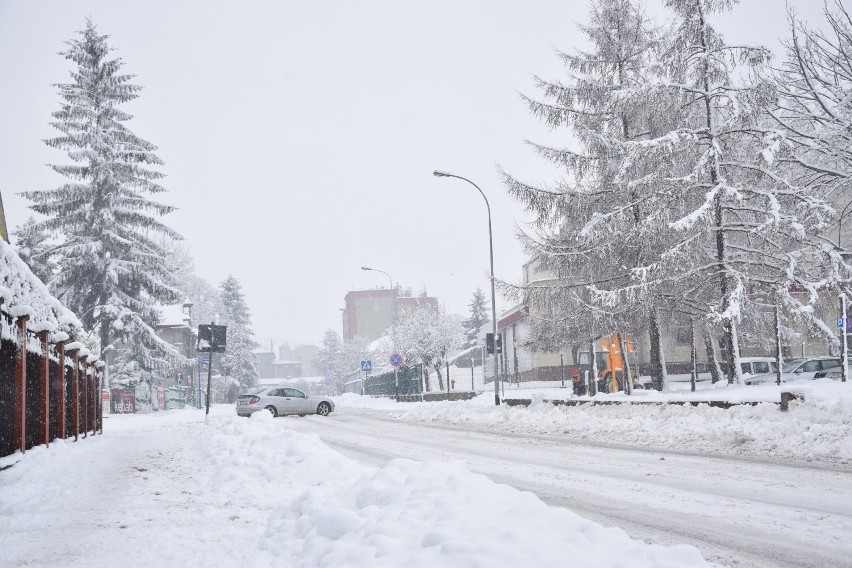 Zima w Jarosławiu. Przez noc mocno sypnęło śniegiem [ZDJĘCIA]