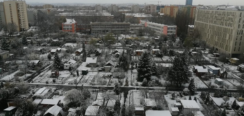 Małopolska i Kraków w śniegu. Zaczęła się kalendarzowa... wiosna