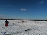 Słoneczna i mroźna zima nad Zalewem Sulejowskim, rzeką Pilicą i Czarną [ZDJĘCIA]