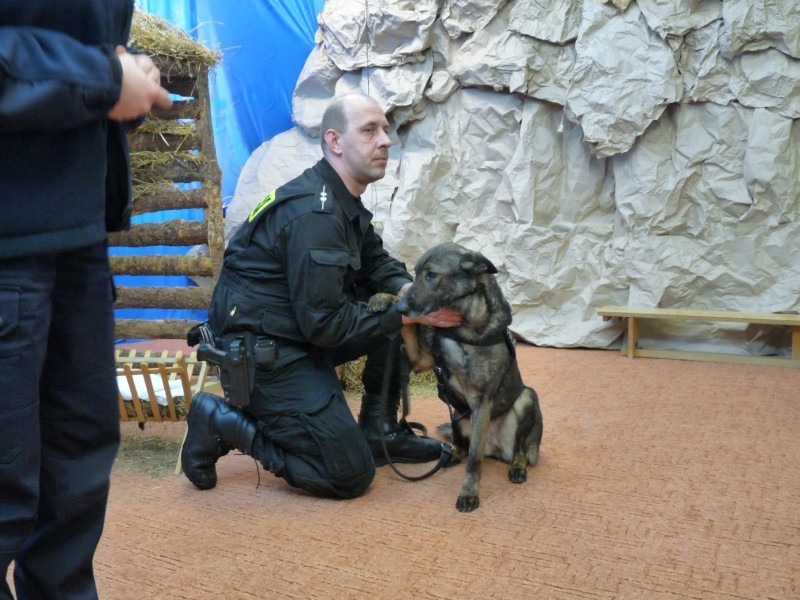 Jastrzębie-Zdrój: Policja z psami w przedszkolu nr 21 ZDJĘCIA