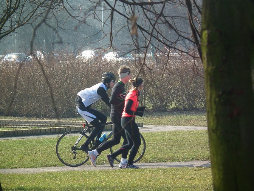 Piękna pogoda skłoniła poznaniaków do spacerów