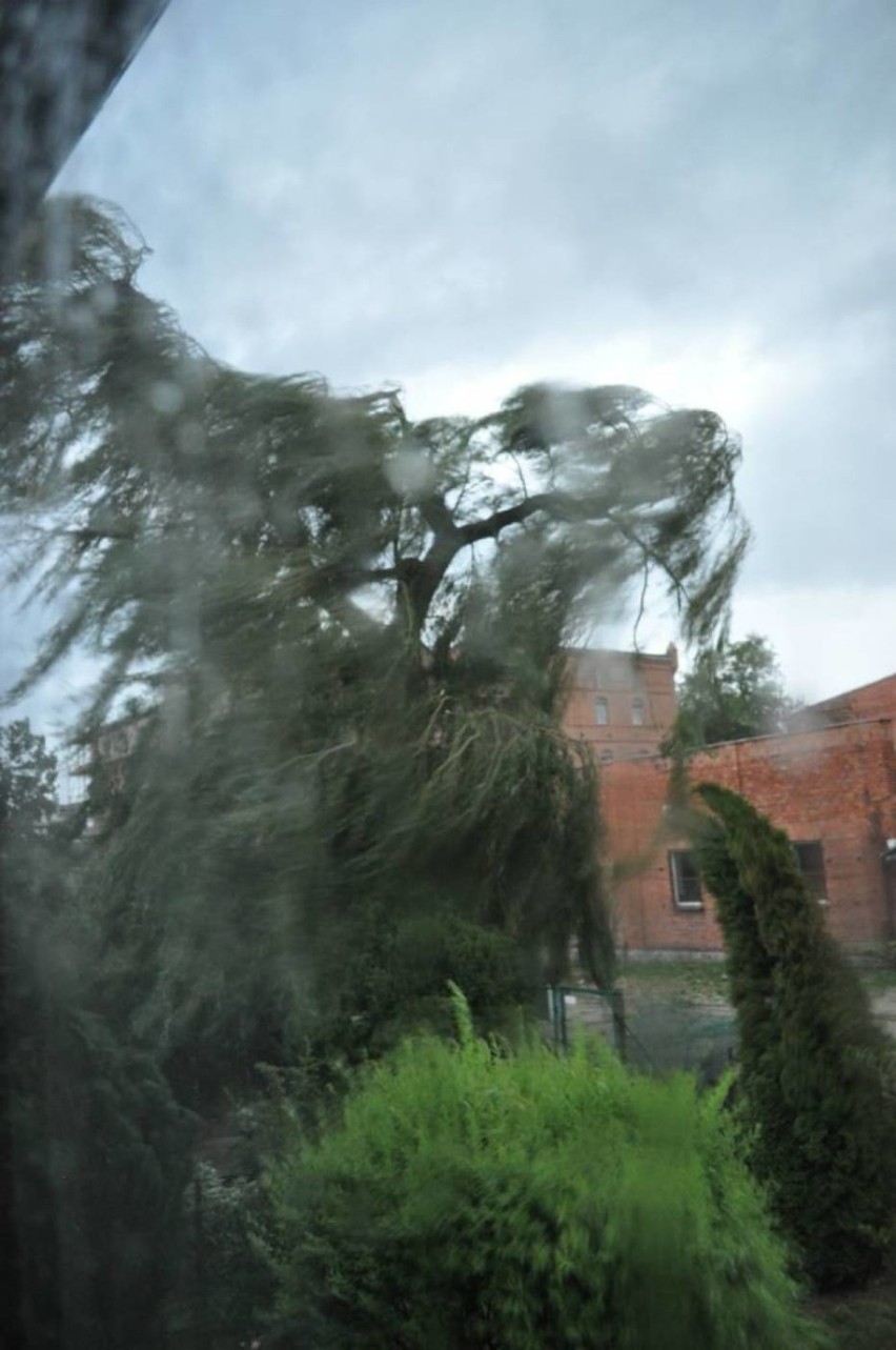 Meteorolodzy ostrzegają przed silnym wiatrem. Po południu...