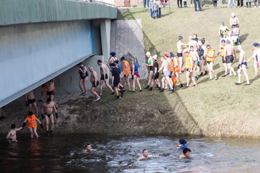 II Pływanie Morsów w rzece Łynie