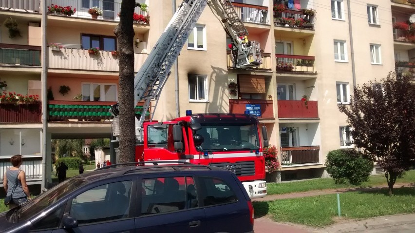 Strażacy z Opola Lubelskiego gasili pożar, który wybuchł w...