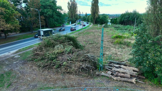 Pierwsze drzewa wycięto w okolicy nieczynnej pętli tramwajowej