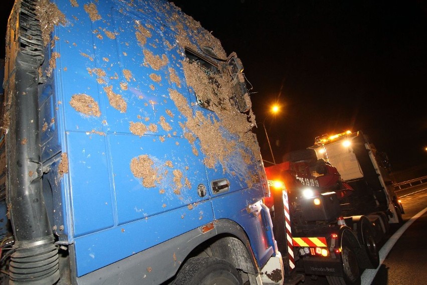 Wrocław: Obornik z przewróconej ciężarówki rozsypany na AOW (ZDJĘCIA)