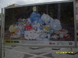 Trzebnica: Śmieci na ulicach i w Rynku (ZDJĘCIA)