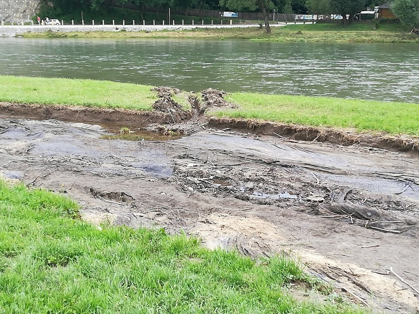 Plaża w Sanoku wymaga całkowitej odnowy. Zobaczcie, co zostało ze słynnej palmy [ZDJĘCIA INTERNAUTY]