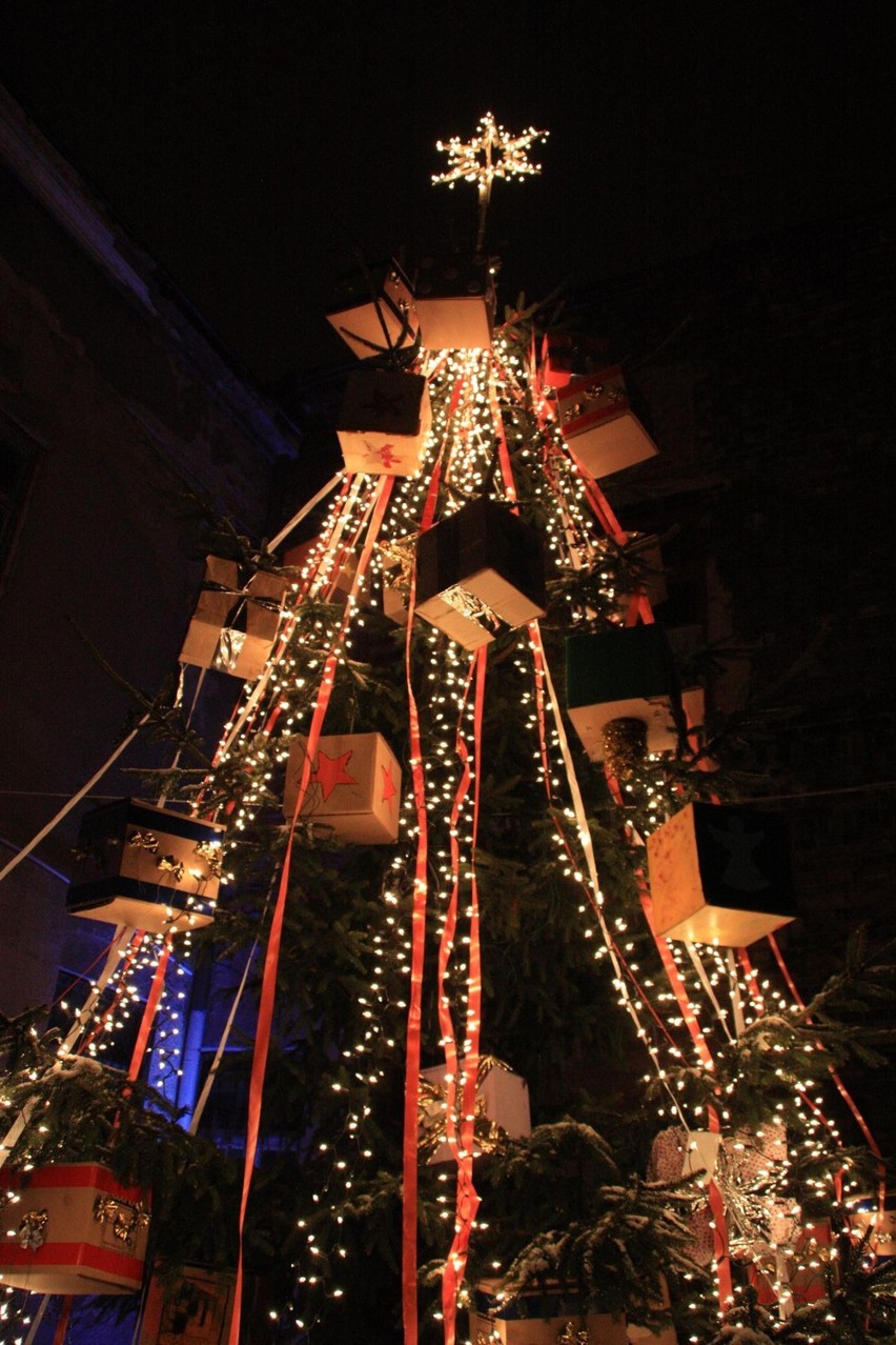 Choinka na Dolnym Mieście. Świąteczne drzewko na placu przed Starą Fabryką Karabinów [ZDJĘCIA]