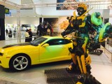Żółte camaro i Transformersy w czeladzkim M1 [zdjęcia]