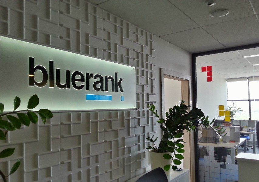 Bluerank triumfuje w Europie. Łódzka firma dynamicznie się rozwija i poszukuje nowych pracowników