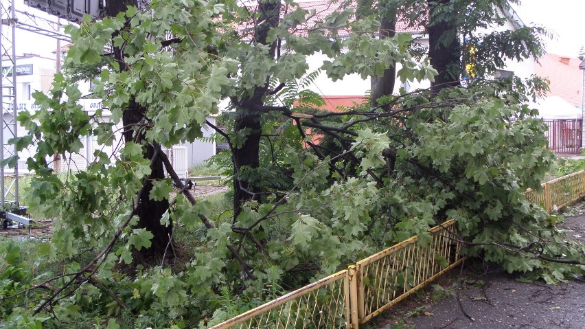 Krajobraz po nawałnicy w Myszkowie - zobacz zdjęcia. Połamane gałęzie drzew w mieście, na Dotyku Jury ZDJĘCIA