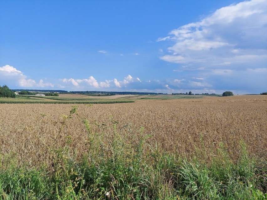 Piękna strona województwa lubelskiego. W najbliższy weekend odwiedź szlak rowerowy pod Nałęczowem. „Kraina Jana Pocka” kusi krajobrazem