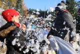 Kujawsko-Pomorski Festiwal Gęsiny 2016 w Przysieku. Bitwa na poduszki