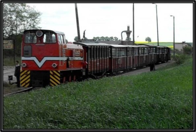 Skład kolejki wąskotorowej na trasie linii kolejowej wąskotorowej Żnin - Wenecja - Biskupin - Gąsawa. 
Fot. Mariusz Reczulski