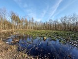 Duża wycinka w lesie w Ochojcu w Katowicach. Pod topór poszły drzewa wzdłuż popularnej trasy rowerowej. Rowerzyści są w szoku